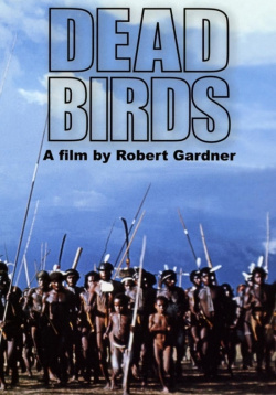 Dead Birds
