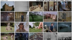 Das Eismeer ruft: movie stills