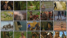 Ushuaïa nature: movie stills